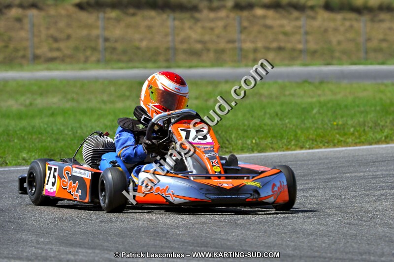 DSC_ (1530).jpg